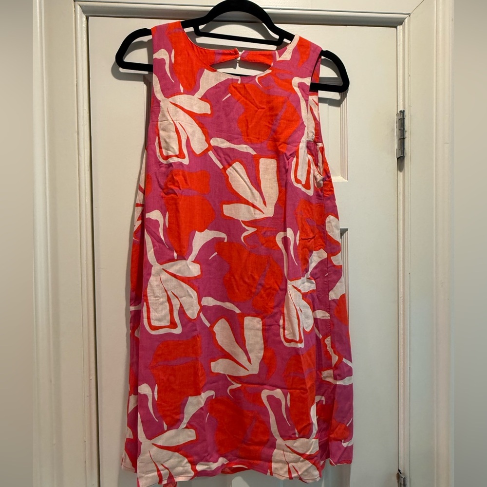 Mister Zimi Red and Pink Floral Mini Dress
